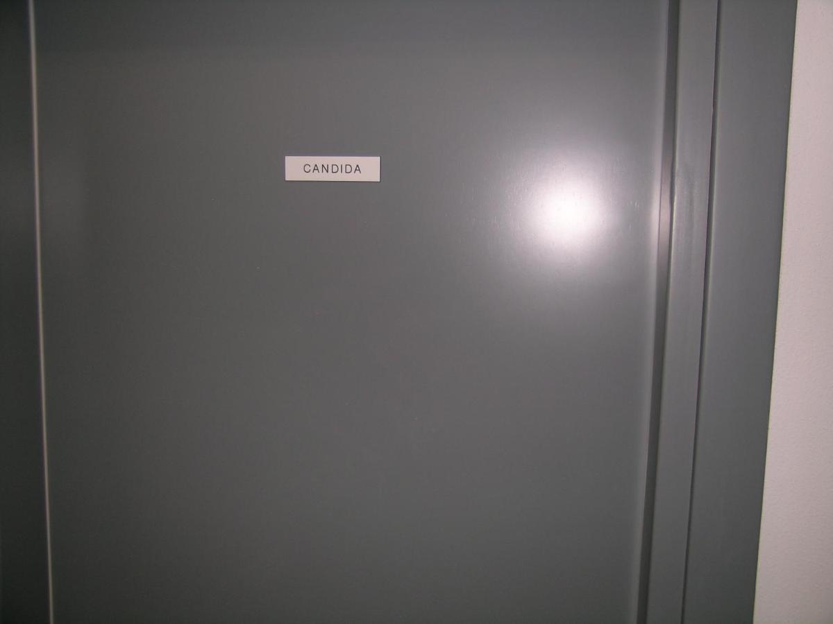 Camera Con Bagno Privato Candida La Spezia Exterior photo